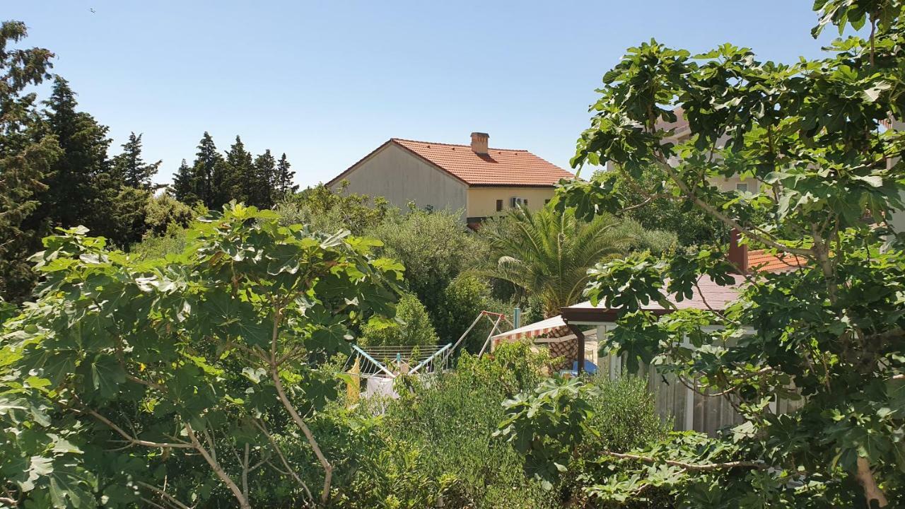 Apartments Mislav Novalja Εξωτερικό φωτογραφία